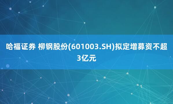 哈福证券 柳钢股份(601003.SH)拟定增募资不超3亿元