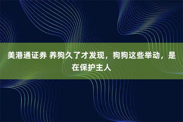 美港通证券 养狗久了才发现，狗狗这些举动，是在保护主人